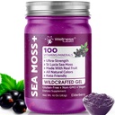 WELNESS LABSRX Irish Sea Moss Gel Raw - Wildcraft Superfood Seamoss Gel - Elderberry Flavor, Vitamin and Mineral-Rich from Pristine Caribbean Waters, Immune and Digestive Health Support - 10 oz.