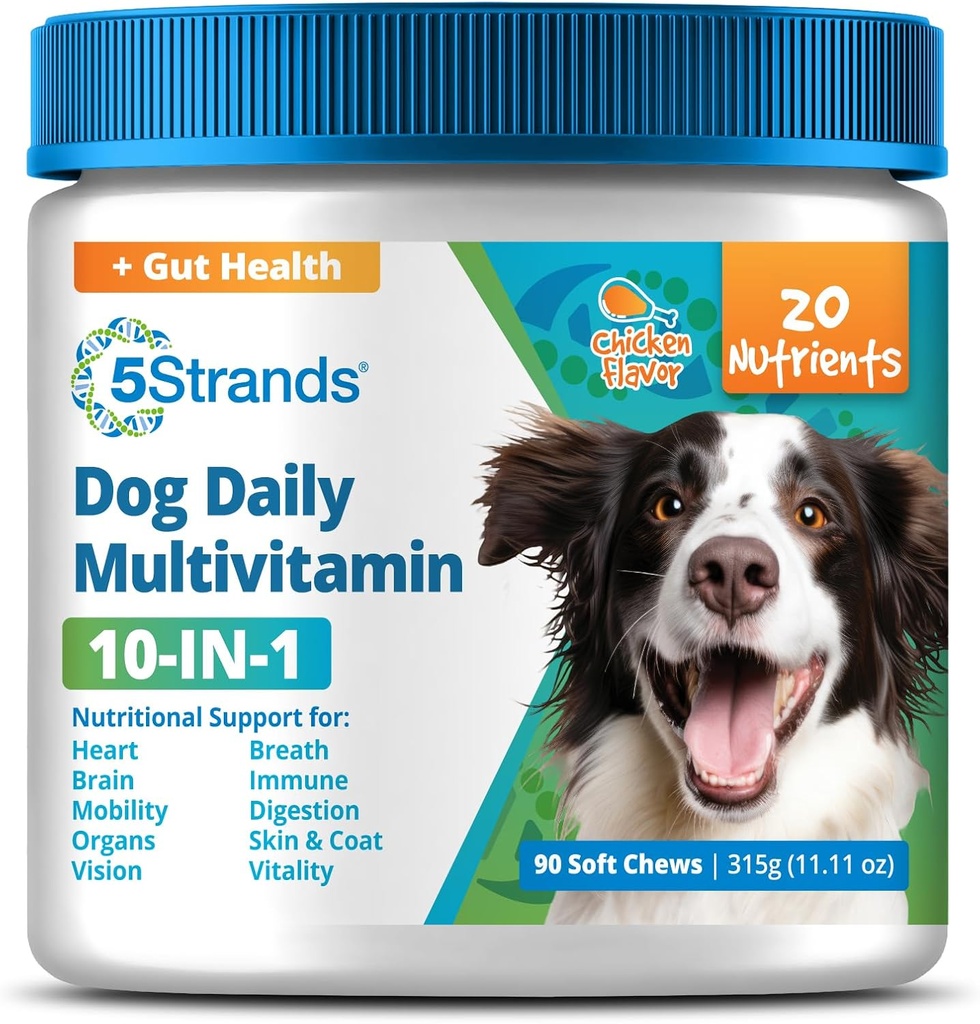 5Strands Dog Multivitamin Chews, 10in-1, Vitaminler ve Postbiyotikler, All Ages & Breeds - Digestion, Beyin, Organlar, Kalp, Hareketlilik, Vizyon, Skin & Coat, Immune Health - Dog Supplement (Chicken, 90ct)