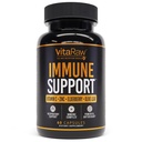 Immune Support Vitamins - Çinko ile Yaşlılar, C vitamini ve Yetişkinler için Garlic - Sambucus Black Elderberry Capsules & Echinacea Immunity Renewal Complex
