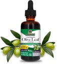 Nature's Answer Olive Leaf Extract, Alkol-Free, Non-GMO, Vegan, Gluten-Free, Made in USA, 2 Ounce | Olive Leaf Extract for Wellness