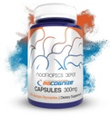 Nootropics Depot BaCognize Bacopa Monnieri 300mg Κάψουλες (120 Count) Ayurvedic Herb Non-GMO, Gluten Free, και χορτοφάγοι Φιλικοί