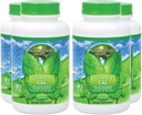 Youngevity Ultimate Cal - Magnezyum Bone Health Supplement with D-3, çinko, Pyum, Boron - Yüksek derecede Absorbable - Immune and Common & Ligament Support - 120 Capsules (Pack of 4)