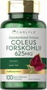 Carlyle Coleus Forskohlii Capsules | 625 mg | 100 Count | Non-GMO & Gluten Free Standardized Extract | Forskolin Supplement