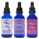 Eidon Ionic Minerals Liquid Silica, çinko, ve Magnezyum Drops Çeşitli Paket - Silica, çinko ve & Magnezyum Supplements, All- Natural Trace Minerals, No Preservatives or Wordss - 2 oz, 3 paket