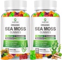 NUBETONG Irish Sea Moss Gummies 6000 mg με Bladderwrack και Burdock Root - Φυσικό Ιρλανδικό Seamoss συμπλήρωμα για Thyroid, Ενέργεια, Ανοσοποιητική Υποστήριξη - Επιπλέον δύναμη, Μεγάλη γεύση - Χωρίς γλουτένη, Vegan