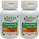 Punarnava Forte Capsule 500 mg. 60 Veg. Capsule | Punarnava (Boerhaavia Diffusa) Erkekler ve kadınlar için Kapsüller | Ayurvedic Herbal Supplement/R kaçtılar | 10:1 Forte (2 Şişeler 60 Capsules)