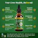 VitaLiver - Liver Health Supplement - Support Liver Cleanse & Detox - Apsiyon için Sıvı Teslimat - Süt Butle, Artichoke, Chanca Piedra, Dandelion & More!