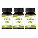 Amla 120 Tablet - USDA Organik Hint Gooseberry - Vitamin C & Supports Immune Health * - 3 Paket