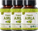 Amla 120 Tablet - USDA Organik Hint Gooseberry - Vitamin C & Supports Immune Health * - 3 Paket
