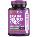 Nootropic Brain Supplement For Focus, Energy, Memory & Clarity ATM | Hızlı Abvitamin Beyin Vitaminleri Yetişkinler için - Ginkgo Biloba, St Johns Wort, Bacopa Monnieri