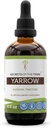 Tribe Yarrow Alkol Ölçeğinin Sırları, Yarrow (Achillea değirmenefolium) kılçık ve Flower Tincture Supplement (4 FL OZ)