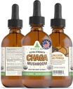 RawGuru Chaga Mushroom Supplement - Vegan Chaga Mushroom Extract with Trace Minerals - Nano-Processed Immunity Boost & Cognitive Supplement Tincture - 60 ml'ye kadar Vegan Drops'a hizmet ediyor, 1 paket