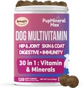 Dog Multivitamin Soft Chews - 120 Count - Dog Joint Supplement, Digestive, Immune, Skin, Coat - Köpekler için Gelişmiş Vitaminler, All Dog Ages - Made in USA