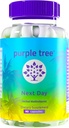 mor ağacı Next Day – Post-Celebration Wellness Supplement | "Take Tomorrow" Blend to Replenish, Restore & Feel Your Best with Milk Thistle, Electrolytes, Ashwagandha & Vitamins | 90 Capsules