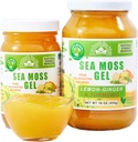 Wildcrafted Irish Sea Moss Gel | ABD'de Yapılan | Vitaminler ve Mineraller | Deniz Moss Gel Raw | Beslenme Tamam | Limon Ginger (16 oz)