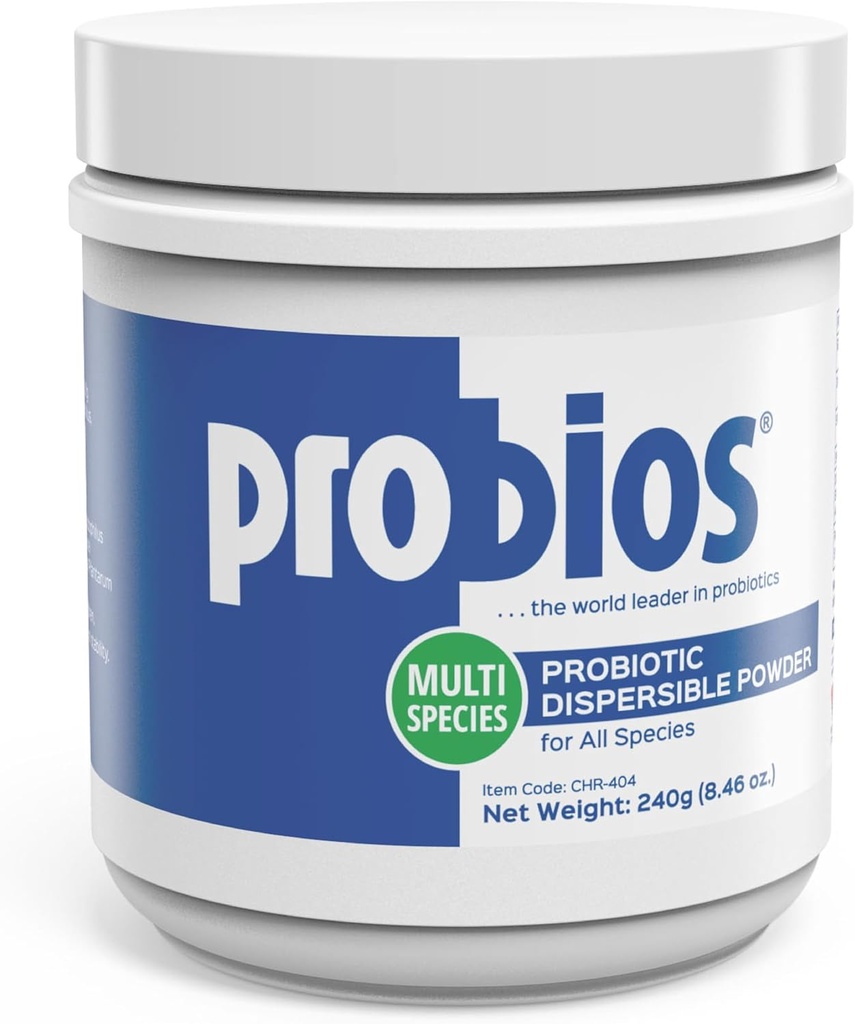 Probios Digestive Support Probiyotik for All types, Probiyotiks for Gut Health, Dispersible Toz, 240 gm