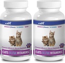 Cats Senior Cats için Vitaminler - Cats için Ultra Vitaminler - Sağlıklı Mineraller ve Vitaminler Formula - Chews - Kedi - 2 Şişe (180 Tedavi)