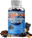 Shilajit Gummies, Shilajit, Wear, 85+ Trace Minerals, Fulvic Acid, Phytonutrients, C, D, B12, Ashwagandha, Chaga Mushroom, Turmeric, for Energy, Immune Support