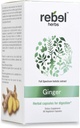 Rebel Βότανα Ginger κάψουλες ισχυρό διπλό εκχύλισμα, μη ΓΤΟ, Χωρίς γλουτένη, Ρίζα Ginger (Rιζώμη) εκχύλισμα