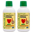 Çocuk Hayatı Temelleri Çocuklar için Sıvı Kalsiyum Tamamı - Magnezyum, çinko ve D3 Vitamini - Orange Flavor, 16 fl oz (2 Pack)