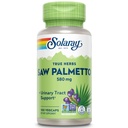 SOLARAY Saw Palmetto Berry 580 mg, Sağlıklı Prostate ve Urinary Tract Support from Fatty Acids & Plant Sterols for Men and Women, Non-GMO, Vegan & Lab Onaylandı, 100 VegCaps, 100 Hizmet