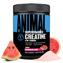 Animal Supercharged Tinatine Toz - Flavoredt Tinaine Monohidrat Betaine Anhidrus, MorForce & Senactiv, Strength, Endurance, Kas Recovery for Men and Women - Watermelon, 300g
