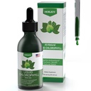 Chlorophyll Liquid Drops -% 100 Doğal Enerji Uyarısı ve Immune Desteği - İç Deodorant ve Detox - Altitude Hastalık Yardımı - Hızlı Aborpsiyon, Vegan & Non-GMO - 120 Hizmet