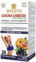 HYLEYS Tea Garcinia Cambogia Green Tea with Acai Berry Flavor - 25 Tea Bag (12 Pack - 300 Tea Bag Total)