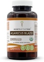 Tribe Agaricus Blazei USDA Organik Kapsüller | sertifikalı Organik Vejetaryen Capsules, Herbal Diyet Tamam | Agaricus blazei murill Honey Mushroom (120 Count)