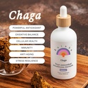 Rainbo - Chaga Mushroom Tincture - Alkol Ücretsiz - Çift Türlü Mushroom Supplement - Immune Support, Cellular Support, Liquid Chaga Supplement, Vegan, GMO, 3.4 fl ozzz