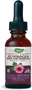 Nature's Way Premium Formula Echinacea-Goldenseal, 250 mg ανά μερίδα, 99,9% Χωρίς Αλκοόλ, 1,01 Oz.