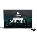 Chuga Pure Himalaya Shilajit Tabletleri Erkekler ve Kadınlar için | Organik Shilajit 16.000 Ayak | ABD'de Test Edildi, 75+ Fulvic Acid, Grade A, Immune ATM, Shilajit Tabletler, 60 Hizmetler (1)