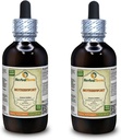Motherwort (Leonurus Cardiya) Tincture, Organik Kuru Herb Sıvı Ekstraksiyon (Brand Name: HerbalTerra, Proudly Made in USA) 2x4 fl.oz (2x120 ml)
