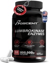 Lumbrokinase Supplement 40 mg (60 Capsules) - maksimum Aktivite-800,000 UI - Saf Lumbrokinase Enzymes Digestive enzimler, Daha İyi Azapase Nattokinase Supplement, Lab Tested, Non GMO