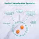 Vegan Life Nutrition Marine Phytoplankton Supplement, Orange Gummies ( 60'ın paketi)