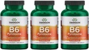 Swanson B6 Pyridoksie - Vitamin Supplement Cardiovascular Health & Energy Metabolism - Doğal Formula Genel Sağlık - (250 Capsules, 100 mg Her) 3 Pack