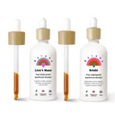 Rainbo Brain Health Bundle, εκχύλισμα μανιταριών Lion's Mane Mushroom + Βάμμα μανιταριών Reishi, Dual Extract Daily Mushroom Tinctures for Comprehensive Immune Support, Vegan Liquid Mushroom Συμπληρώματα