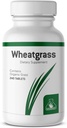 Graminex Wheatgrass Tablets - Φυσική Ανοσία, Υποστήριξη κατά της γήρανσης, Ενισχύει την ενέργεια, την ευεξία - Αμινοξέα, Βιταμίνες, Ορυκτά, Αντιοξειδωτικά Πράσινα Superfood Supplement - 240 Μη ΓΤΟ Tabs