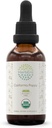 HerbEra California Poppy B60 USDA Organic Tincture | High-Potency Herbal Drops, Alkol-Free Extract | Sertifikalı Organik Kaliforniya Poppy (Eschscholzia Californica) kuru Herb ve Flower 2 fl ozz