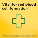 Nature Made Iron 65 mg (325 mg Ferrous Sulfate) Tabletler, Red Blood Hücre Desteği için Diyet Supplement, 180 Tablet, 180 Day Supply (Pack of 2)