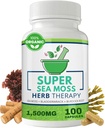 Sea Moss Capsules 100 Pack - Irish Sea Moss with Bladderwrack Toz & Burdock Root Toz - Keto & Baz Diyet Destek - No Fillers Seamoss Raw Supplement