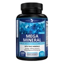 Potent Garden Mega Mineral Tamamla Mineral Kompleksi Çelik Magnezyum Pyum Boron Selenium Chromium & 72 Trace Minerals Iron Freeuba Supplement -100 Pills