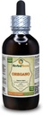 Oregano (Origanum Vulgare) Tincture, Organik Kuru Sıvı Tür (Brand Name: HerbalTerra, Proudly Made in USA) 4 fl.oz (120 ml)