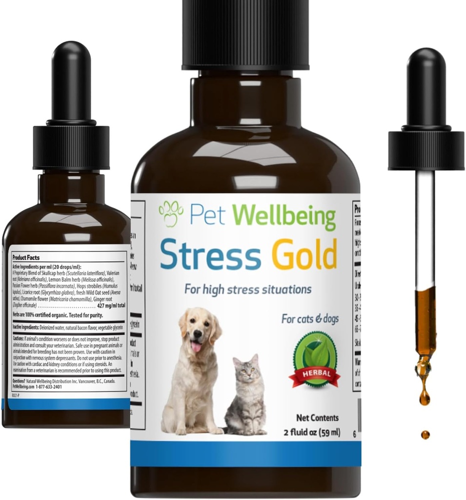 Pet Wellbeing Stress Gold for Cats - Vet-Formulated Sureal Feline Stress Support - Fast-Acting Vet Visits, Travel, Grooming - Cat-Safe Holistic Herbal Blend - Liquid Support 2 oz (59ml)