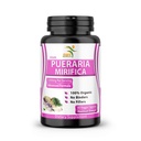 Pure Pueraria Mirifica Supplement 500 mg Root Extract Toz Tayland'dan ithal edildi - Kadın Sağlığı, Organik Doğal Herbal, 60 Veggie Capsules
