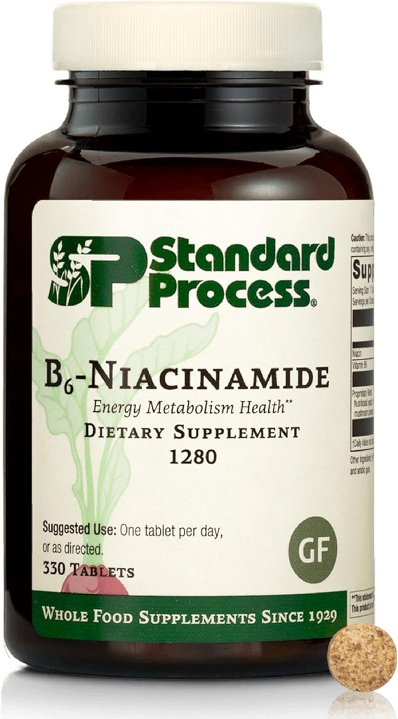 Standart Süreç B6-Niacinamid - Enerji Metabolism & Kalp Sağlığı - Yardımlar Digestive & Blood Circulatory Systems - Gluten-Free, Non-Dairy & Non-Soy - 90 Tabletler (90 hizmet)