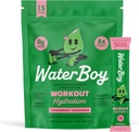 Waterboy Workout Hydration | 2,960mg Sugar Free Electrolyte Toz Paketleri | L-Glutamine + Vitaminler | No Sugar, All Natural, Gluten Free | 15 Iklim Mixes (Strawberry Lemonade)