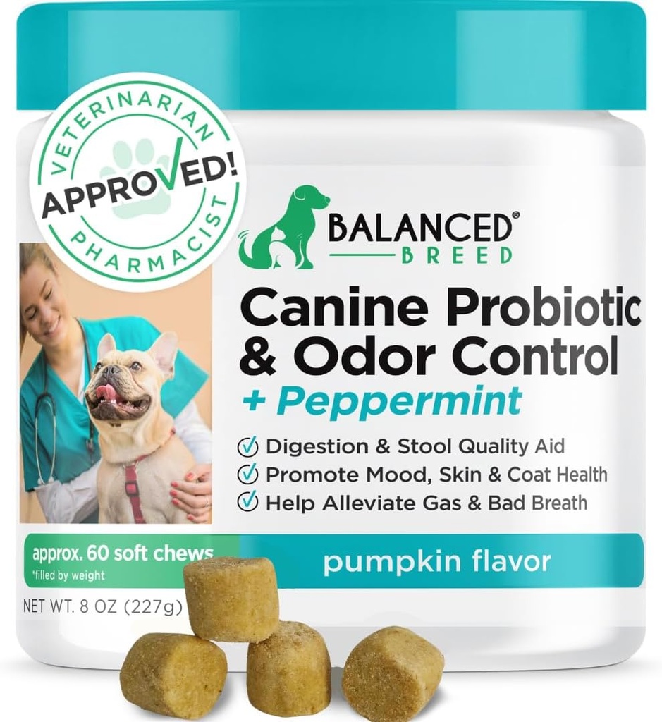 Dengeli Breed Dog Probiyotiks Digestive Health Enzymes Made in USA Vet-Pharmacist Onaylanmış Fortiflora Probiyotikler Köpekler Anti Yeast Supplements Constipation Relief Dog Yeast Itchy Skin Itchy Ears Non-GMOMO