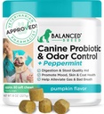 Dengeli Breed Dog Probiyotiks Digestive Health Enzymes Made in USA Vet-Pharmacist Onaylanmış Fortiflora Probiyotikler Köpekler Anti Yeast Supplements Constipation Relief Dog Yeast Itchy Skin Itchy Ears Non-GMOMO