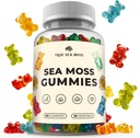 TrueSeaMosss Irish Sea Moss Gummies with Burdock Root & Bladderwrack – Yetişkinler ve Çocuklar için Vegan Formula – Non-GMO, Gelatin-Free, Fruit Flavor – Amerika'da Yapıldı – 60 Gummies